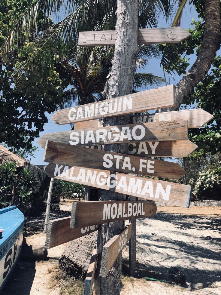 ً hayami tweet media