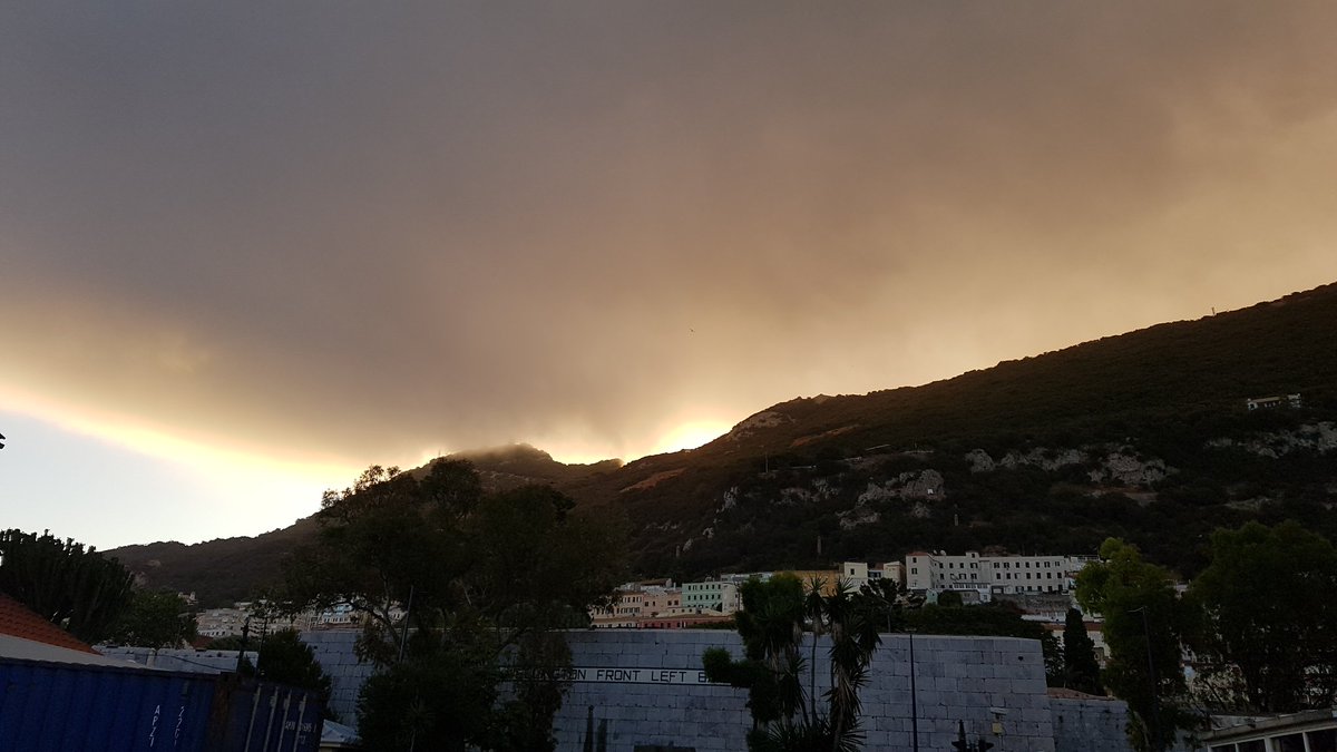 Mike Mulroy tweet media