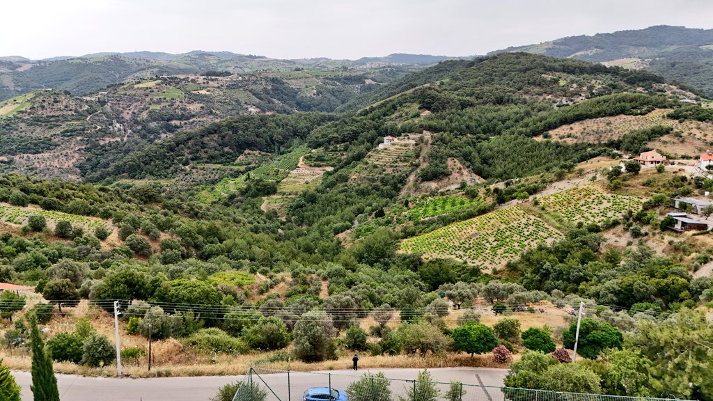 Seferihisar / Gödence Köyü