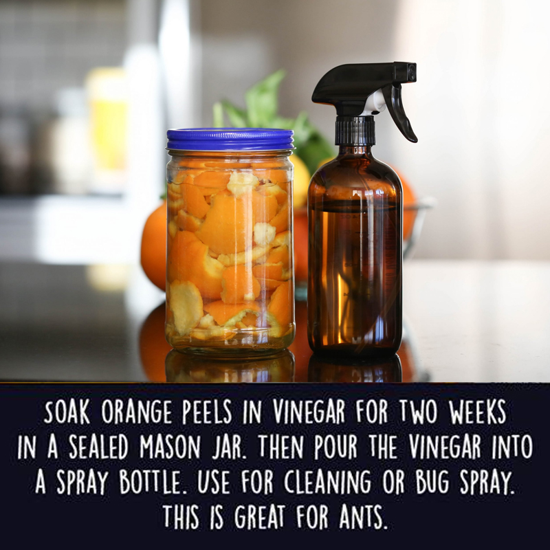 OrganicLiveFood's tweet photo. Soak the #orange peels in vinegar for two weeks; Then pour the vinegar into a spray bottle. Use for cleaning or bug spray. This is great for #ants! 

https://t.co/ExPyBsJXPc