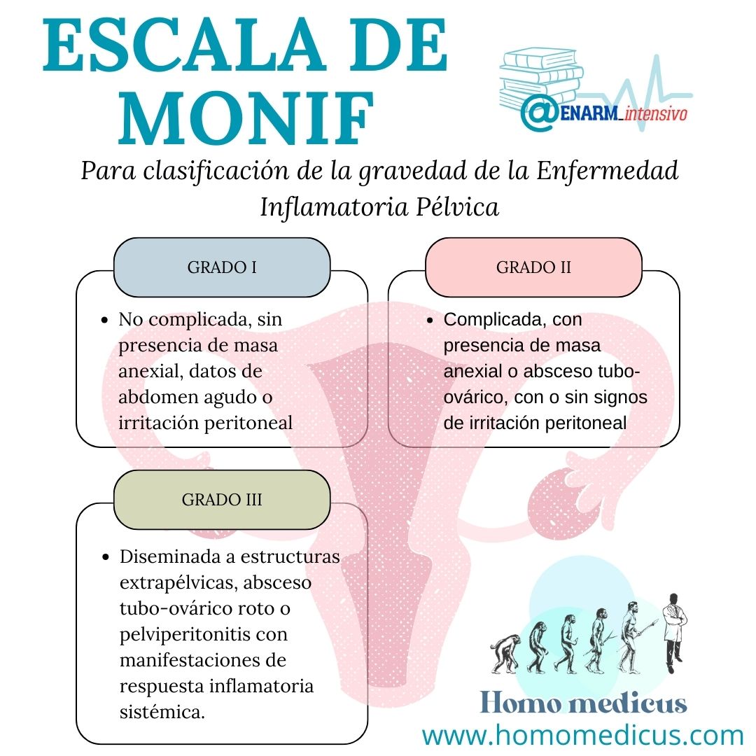 ENARM_intensivo's tweet photo. 🟦 ESCALA  DE  MONIF

#ENARM_INTENSIVO #ENARM #ENAR2024 https://t.co/kOKX0nA8fj