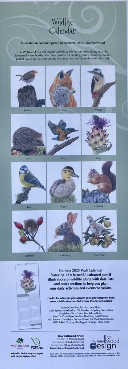 Lisa Wellwood Artist tweet media