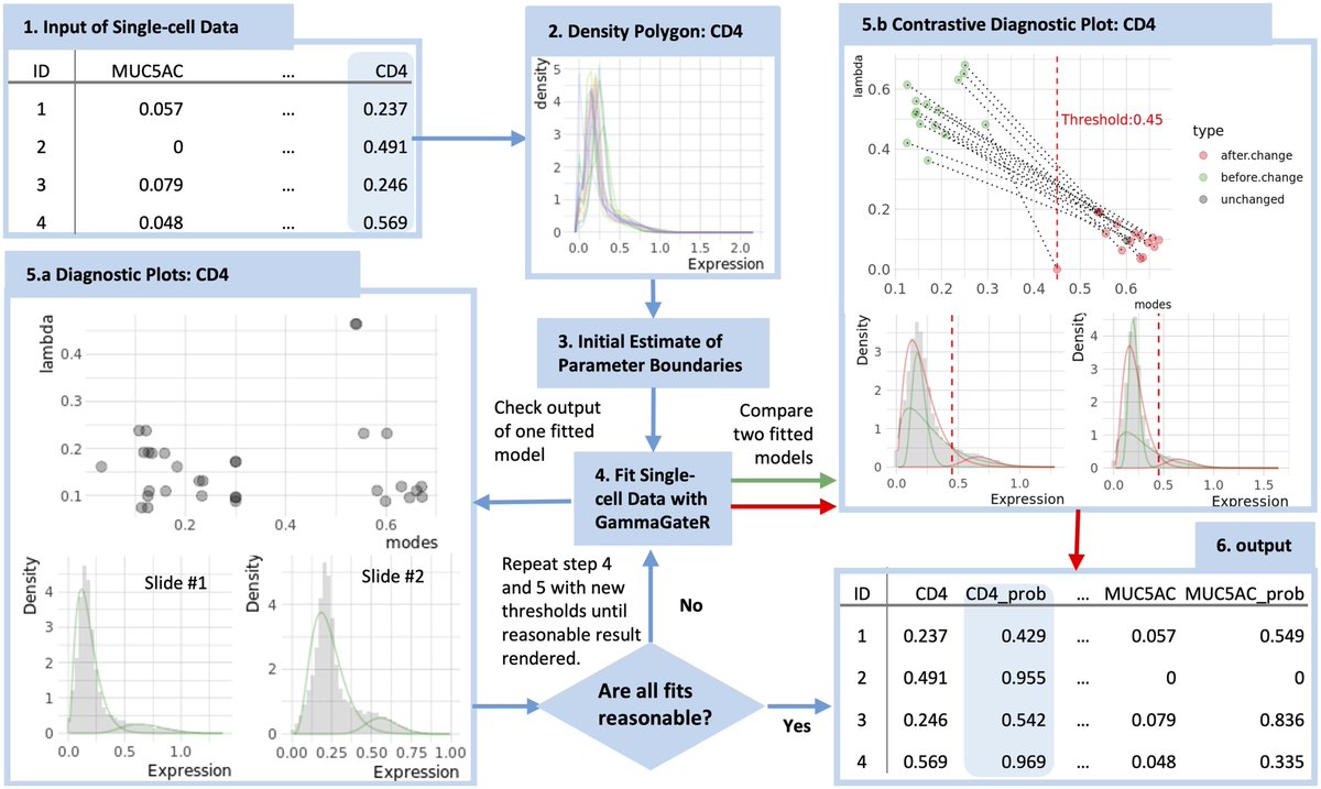 Simon Vandekar (@vandyatvandy) on Twitter photo Great job <a href="/RubyJXiong/">JiangmeiRubyXiong</a> on this paper introducing GammaGateR, a semiautomated approach for marker gating in mIF data doi.org/10.1093/bioinf…. With <a href="/KenLauLab/">Ken Lau Lab</a> @etmckinley <a href="/K_Harsim/">Harsimran Kaur</a> <a href="/cody_heiser/">Cody Heiser</a> et al. Tutorial is available online statimagcoll.github.io/GammaGateR. Great job <a href="/RubyJXiong/">JiangmeiRubyXiong</a> on this paper introducing GammaGateR, a semiautomated approach for marker gating in mIF data doi.org/10.1093/bioinf…. With <a href="/KenLauLab/">Ken Lau Lab</a> @etmckinley <a href="/K_Harsim/">Harsimran Kaur</a> <a href="/cody_heiser/">Cody Heiser</a> et al. Tutorial is available online statimagcoll.github.io/GammaGateR.