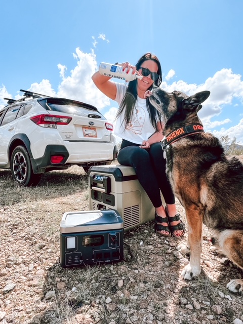 Growatt Power.EU tweet media