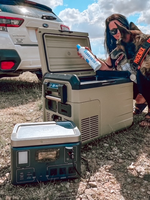 Growatt Power.EU tweet media