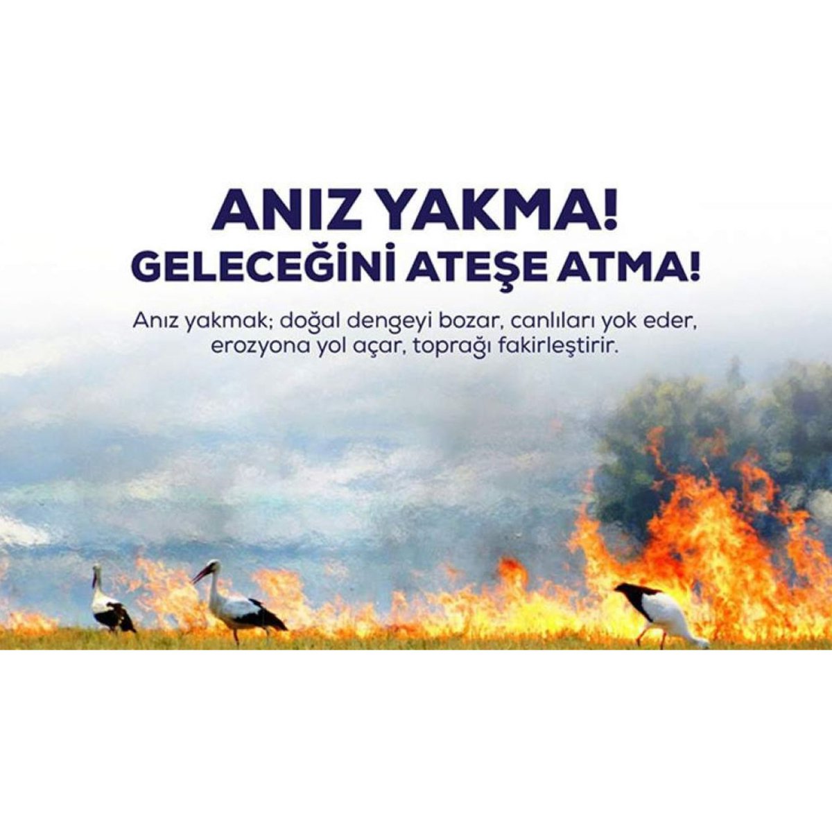 Son günlerde yaşadığımız olaylar ışığında bir kez daha anladık ki anız yangınları, yanlış bir uygulama olan anız yakmanın çevresel ve ekonomik zararlarını apaçık gözler önüne seriyor.
Geleceğimiz için lütfen daha dikkatli ve duyarlı olalım.
<a href="/ibrahimyumakli/">İbrahim Yumaklı</a> <a href="/TCTarim/">T.C. Tarım ve Orman Bakanlığı</a> <a href="/mnsmr72/">Mehmet GÜN</a>