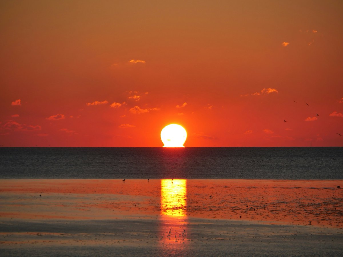 Healthysandra's tweet photo. Health tip for the day, 'The sun rises each day and sets each, life is precious enjoy each moment '  #HealthyHabits #Mindfulness #SelfCare #selflove #selfrespect #radicalselfcare. https://t.co/xPN5MoqCIK