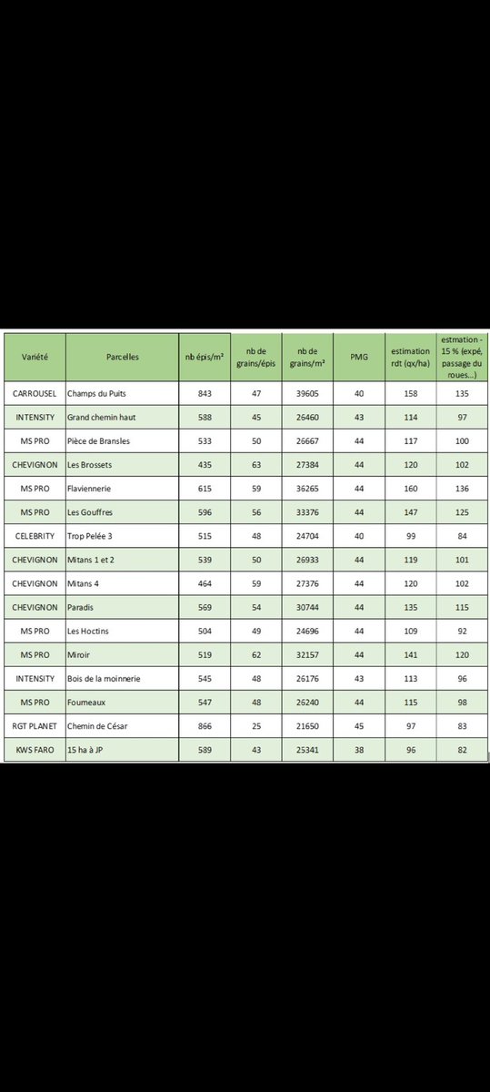 Guiguiperdereau's tweet image. Finalisation des comptages avant moisson, normalement ça sera une belle moisson à confirmer quand ça sera livré 😉