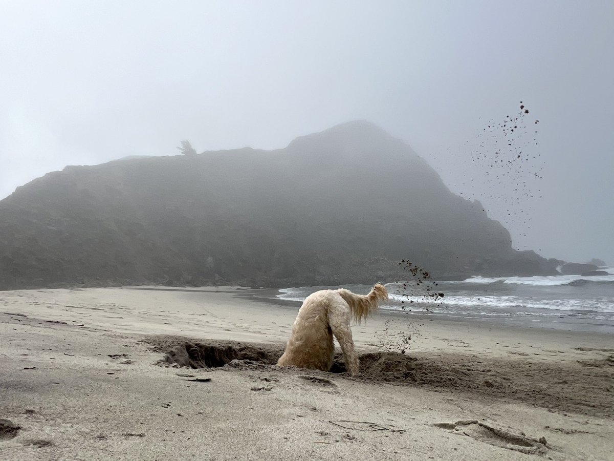 Lane Karczewski tweet media