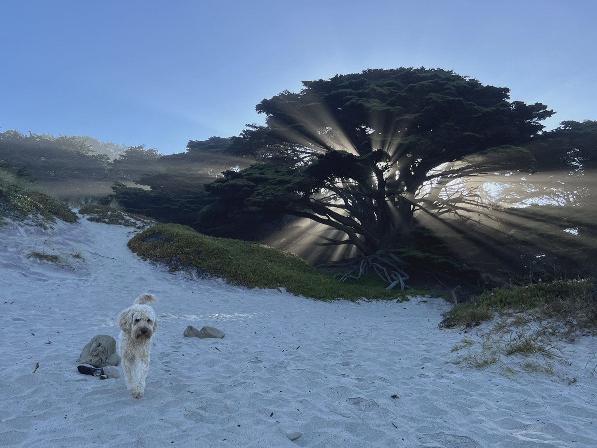 Lane Karczewski tweet media