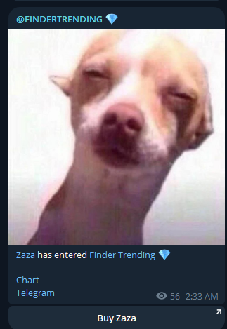 ZazaOnSolana's tweet photo. We meet again.

You thought it was all over.

Zazaversal is inbound.

@FINDERTRENDING 

CA: 3QJzpi68a3CUVPGVUjYLWziGKCAvbNXmC5VFNy1ypump

TG: https://t.co/xhPjukpqhD

Website: https://t.co/aDOO0Rqy1R https://t.co/jJsTwarcTN