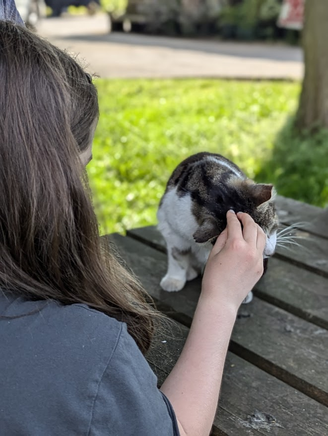 Robert Allotment cat,now helped by Janet & Amanda tweet media