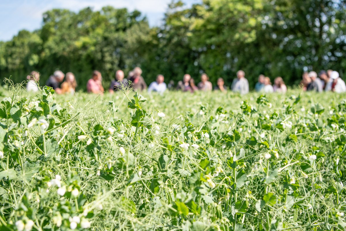 Department of Agroecology tweet media