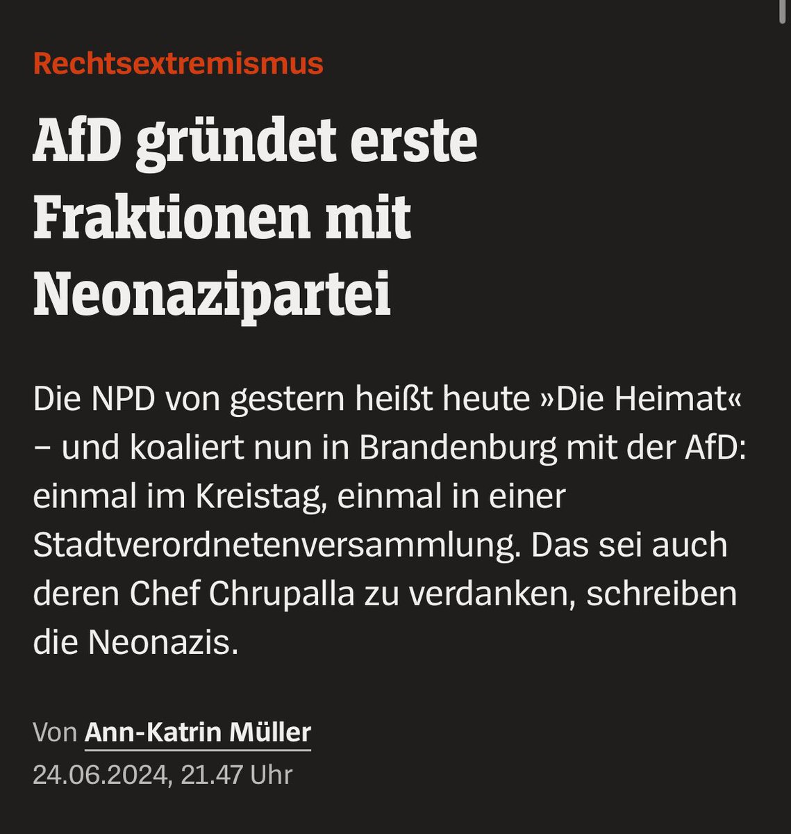 ElyaMConrad's tweet image. Aber nein, die AfD hat nichts mit Neonazis zu tun. Lasst euch da nichts erzählen.