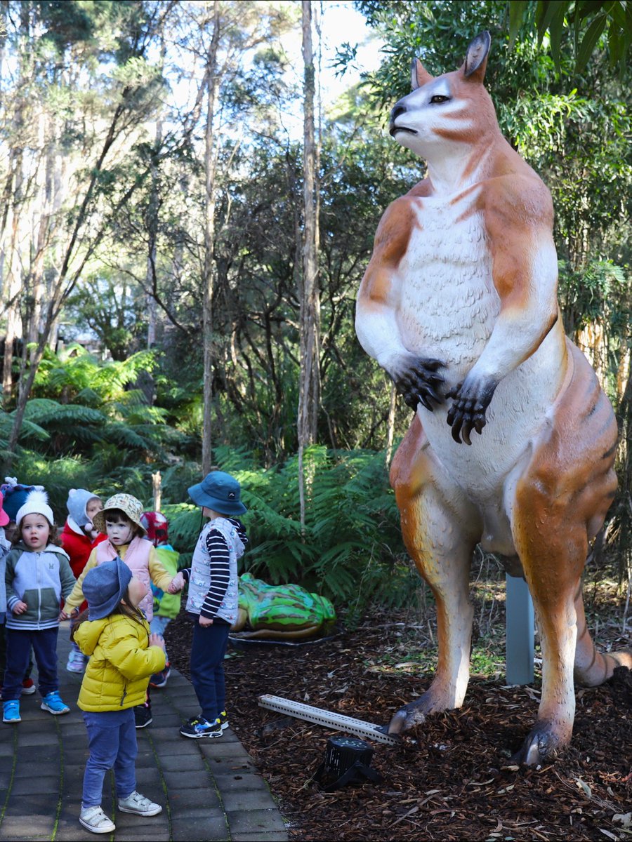 Australian National Botanic Gardens (@anbg) on Twitter photo ๐ ๐ฎ๐ด๐ป๐ถ๐ณ๐ถ๐ฐ๐ฒ๐ป๐ ๐ ๐๐๐๐ณ๐ฎ๐๐ป๐ฎ: ๐๐ถ๐ฑ๐ฒ ๐ฎ๐ป๐ฑ ๐๐ฒ๐ฒ๐ธ is one week away!
Explore the Gardens between 1 - 31 July to meet some of the magnificent animals that roamed Australia 20,000 years ago.
#ANBGMEGAfauna #Australiannationalbotanicgardens #ANBG #megafauna ๐ ๐ฎ๐ด๐ป๐ถ๐ณ๐ถ๐ฐ๐ฒ๐ป๐ ๐ ๐๐๐๐ณ๐ฎ๐๐ป๐ฎ: ๐๐ถ๐ฑ๐ฒ ๐ฎ๐ป๐ฑ ๐๐ฒ๐ฒ๐ธ is one week away!
Explore the Gardens between 1 - 31 July to meet some of the magnificent animals that roamed Australia 20,000 years ago.
#ANBGMEGAfauna #Australiannationalbotanicgardens #ANBG #megafauna