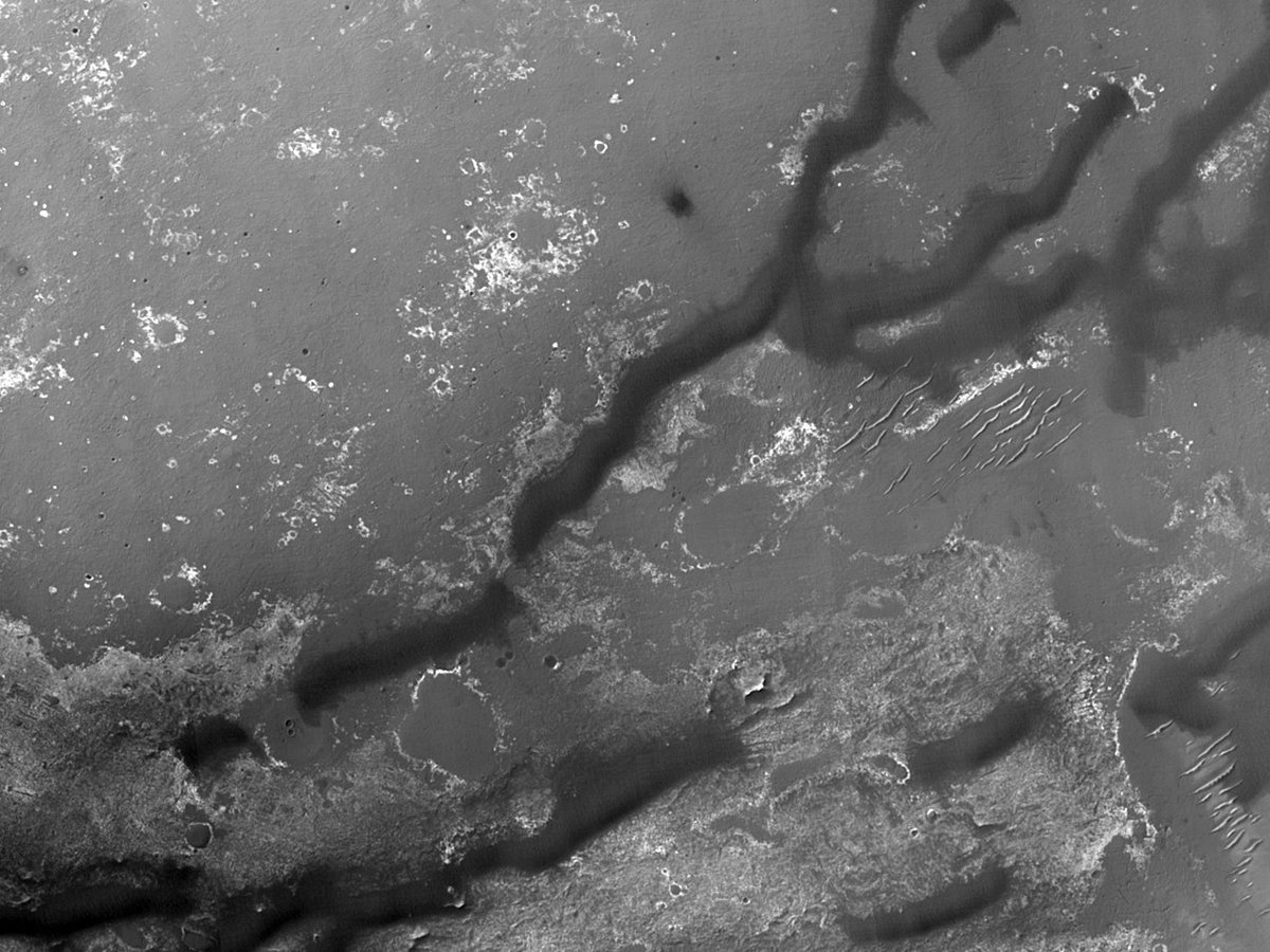 HiRISEDeutsch's tweet image. Ein Dünenfeld im Endeavour-Krater
Der Zweck dieses Bildes ist es, Veränderungen der Dünen zu erkennen.

Nummer: ESP_051878_1775
Erfassungsdatum: 20. August 2017
Distanz: 268 km

uahirise.org/hipod/de/ESP_0…
NASA/JPL-Caltech/UArizona
#Mars #NASA #Deutsch #German #Wissenschaft