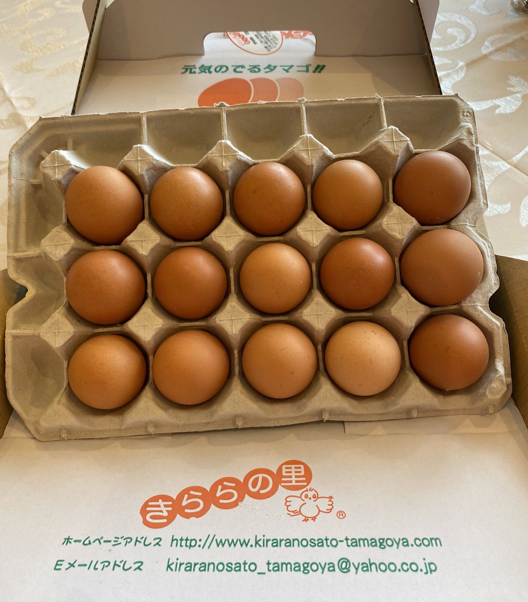 吉見一起 (@yoshimikazuki19) / Posts / X