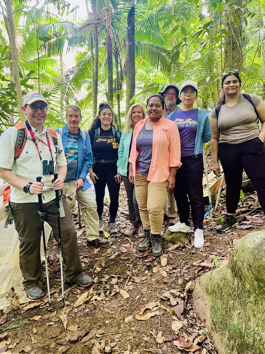 Debjani Sihi (@debjani_sihi) on Twitter photo We had so much fun during our <a href="/doescience/">DOE Office of Science</a> ESS synthesis project meeting last week. Thanks to <a href="/Tana_TropicsGal/">Tana Wood</a> and <a href="/ForestWarming/">TRACE</a> team for hosting us and for the awesome trip to <a href="/LUQLTER/">Luquillo LTER</a> site! We had so much fun during our <a href="/doescience/">DOE Office of Science</a> ESS synthesis project meeting last week. Thanks to <a href="/Tana_TropicsGal/">Tana Wood</a> and <a href="/ForestWarming/">TRACE</a> team for hosting us and for the awesome trip to <a href="/LUQLTER/">Luquillo LTER</a> site!