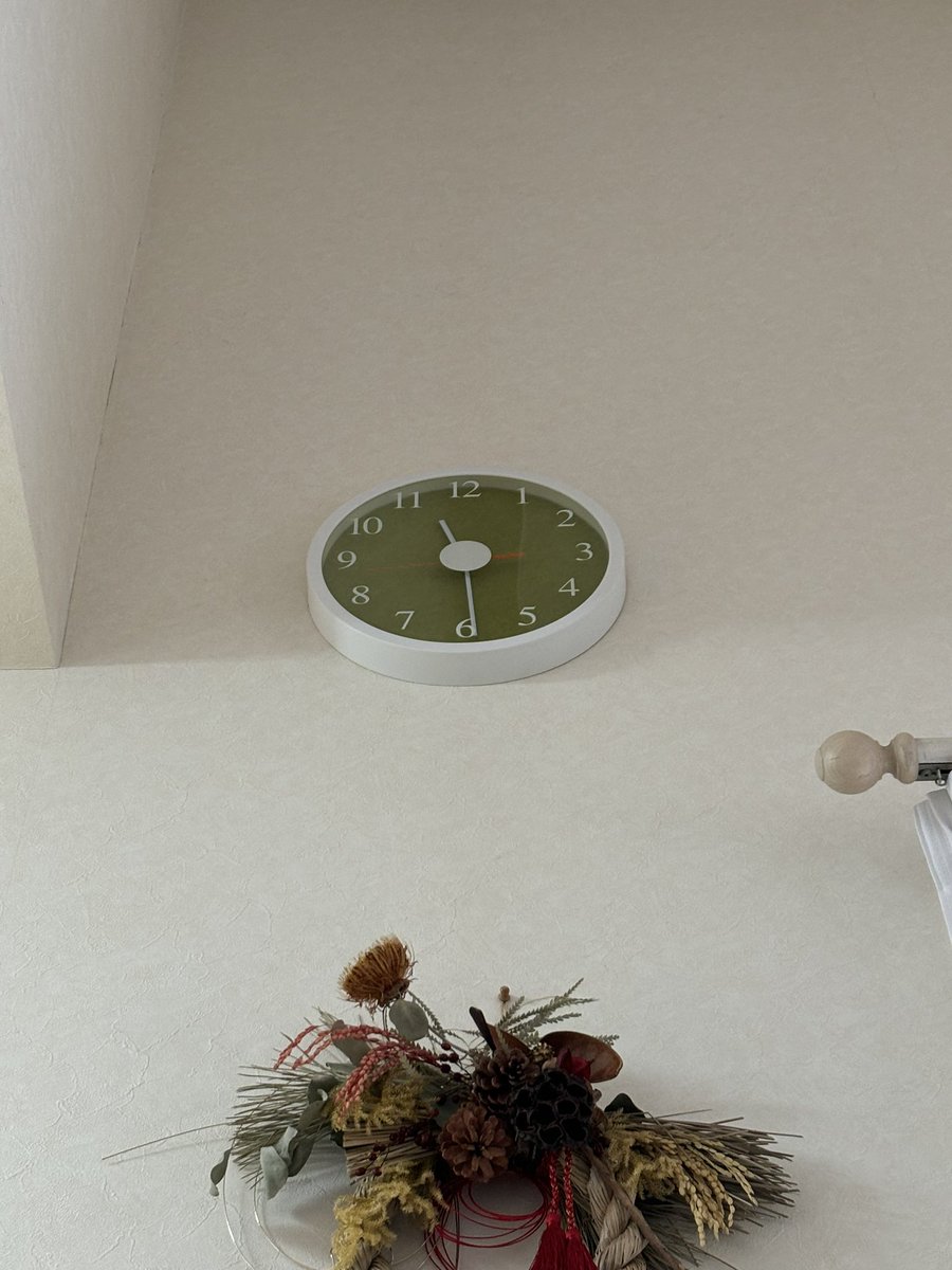 combpapa_com's tweet image. おいパパ🐾
お昼ご飯の時間⏰だってば

だんだん早くなってない？

#ミニチュアダックス #comb #コンブ #昼の添い寝