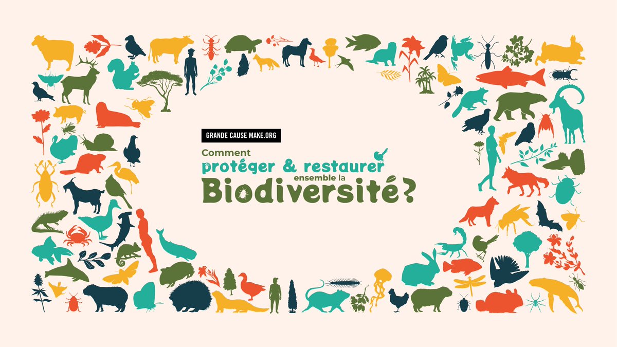 La Grande Cause #Agirpourlabiodiversité débute avec une grande consultation citoyenne autour de la question :  "Comment protéger et restaurer ensemble la biodiversité ?"  
&gt; biodiversite.make.org
#Agirpourlabiodiversité