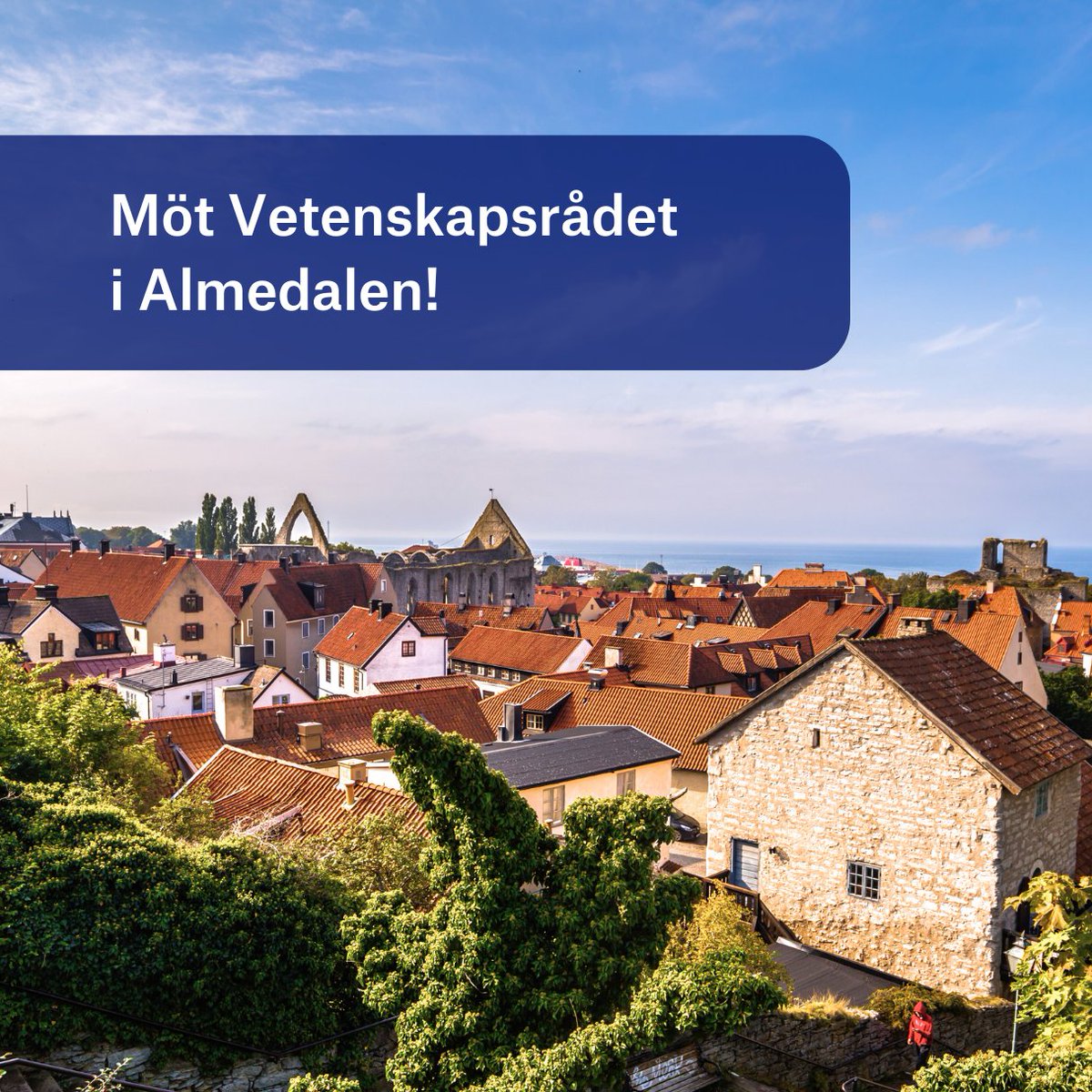 Nu är Almedalsveckan igång! I år arrangerar vi två egna seminarier och deltar på flera. Se alla Vetenskapsrådets aktiviteter: vr.se/aktuellt/evene… #Almedalen2024