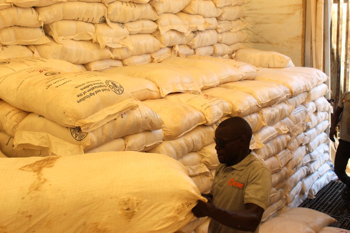 CareSouthSudan's tweet photo. With funding from @FAOSouthSudan, CARE South Sudan is distributing assorted seeds 🌱&amp; tools ⛏ to 6,020 households in Magwi County, 🇸🇸 to strengthen farmers, boost food production, and build resilience against disasters and shocks.
#Resilience #FoodSecurity #SeedsForChange. https://t.co/qgGS4tJtW7