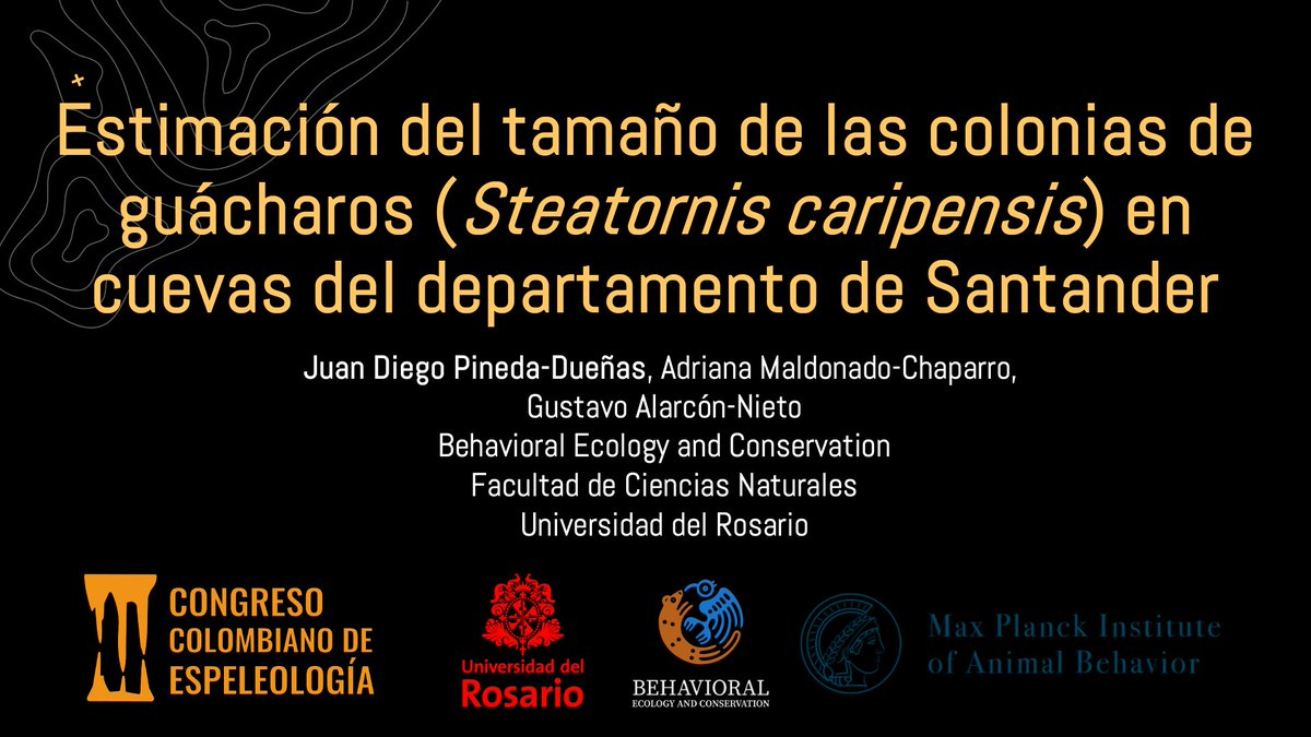 Adriana Maldonado-Chaparro (@adrimaldoc) on Twitter photo <a href="/Diego_Mejia5/">Diego Mejía-Tovar 🦉</a> <a href="/duenas_pineda/">Juan Diego Pineda-Dueñas</a> <a href="/AnuraRomero/">Ana M. Romero Chacón</a> <a href="/AnimBehSociety/">Animal Behavior Society</a> <a href="/espeleocol/">Asociación Espeleológica Colombiana - ESPELEOCOL</a> <a href="/JJBioAcoustique/">Journées des Jeunes BioAcousticien·nes</a> <a href="/fcn_ur/">Ciencias Naturales UR</a> Hoy Junio 25 a las 2:25 pm, <a href="/duenas_pineda/">Juan Diego Pineda-Dueñas</a> presenta "Estimación del tamaño de las colonias de guácharos (Steatornis caripensis) en cuevas del departamento de Santander" en <a href="/espeleocol/">Asociación Espeleológica Colombiana - ESPELEOCOL</a> No se pierdan la charla! #Oilbirds #Guacharos #CaveEcology #ESPELEOCOL <a href="/Diego_Mejia5/">Diego Mejía-Tovar 🦉</a> <a href="/duenas_pineda/">Juan Diego Pineda-Dueñas</a> <a href="/AnuraRomero/">Ana M. Romero Chacón</a> <a href="/AnimBehSociety/">Animal Behavior Society</a> <a href="/espeleocol/">Asociación Espeleológica Colombiana - ESPELEOCOL</a> <a href="/JJBioAcoustique/">Journées des Jeunes BioAcousticien·nes</a> <a href="/fcn_ur/">Ciencias Naturales UR</a> Hoy Junio 25 a las 2:25 pm, <a href="/duenas_pineda/">Juan Diego Pineda-Dueñas</a> presenta "Estimación del tamaño de las colonias de guácharos (Steatornis caripensis) en cuevas del departamento de Santander" en <a href="/espeleocol/">Asociación Espeleológica Colombiana - ESPELEOCOL</a> No se pierdan la charla! #Oilbirds #Guacharos #CaveEcology #ESPELEOCOL