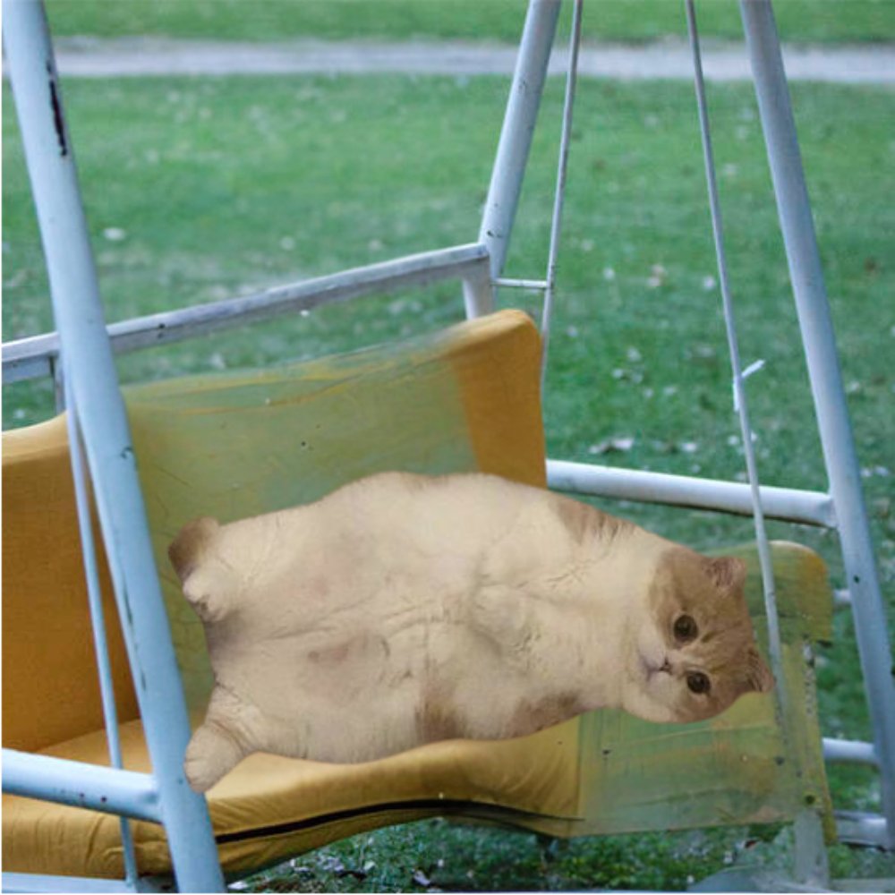 i miss buss, i $cope.
i swipe right i get no like, i $cope.
i wage cuck 40 years, i $cope.
i under 6"0, i $cope.
port down -99%, i $cope.