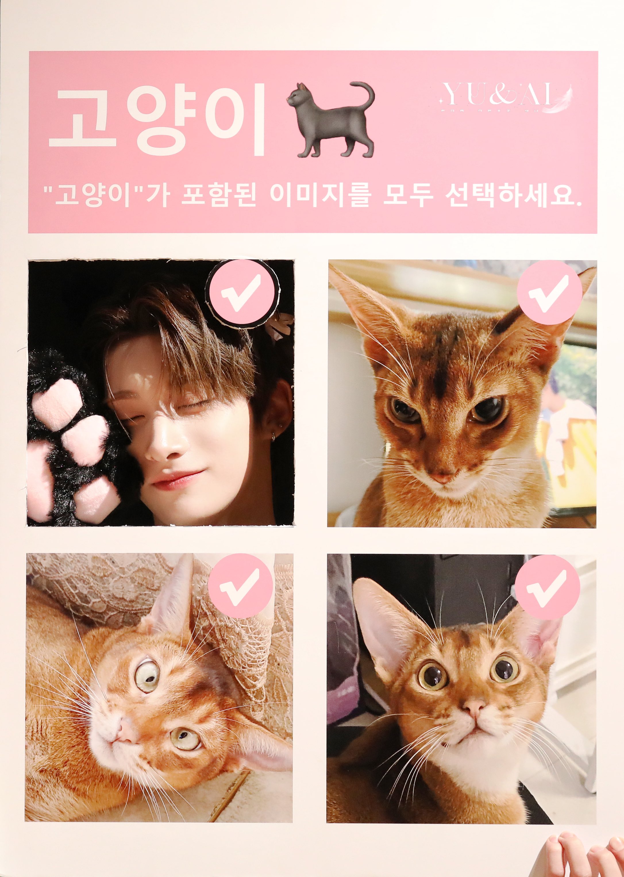 유유ページ RD-RX9060XT-E8GB/WHITE/DF | RD-RX9060XT-E8GB/WHITE/DF | 玄人