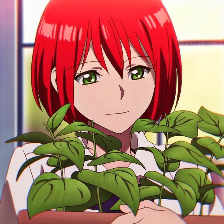 shirayukitsuki2's tweet photo. Happy birthday to best girl, Shirayuki!✨💕👑🌿 https://t.co/mMljMa7I89