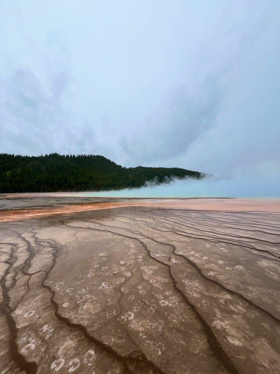 MrWolksClass's tweet image. “The people near by seem awake to its beauties; and I hope that more and more of our people who dwell far off will appreciate its really marvelous character.” 

-President Teddy Roosevelt on @YellowstoneNPS in Gardiner, MT (1903)

📸#MidwayGeyserBasin #Grandprismatic #Yellowstone