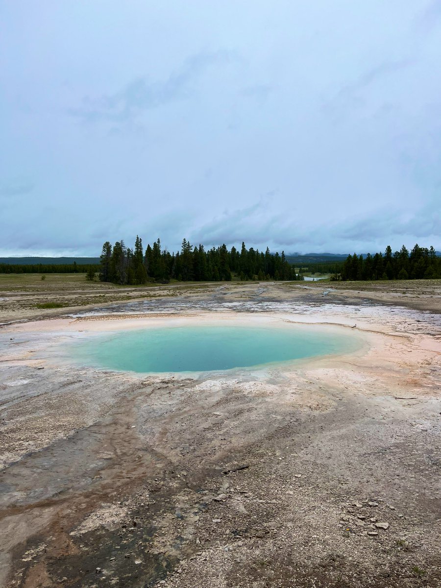 MrWolksClass's tweet image. “The people near by seem awake to its beauties; and I hope that more and more of our people who dwell far off will appreciate its really marvelous character.” 

-President Teddy Roosevelt on @YellowstoneNPS in Gardiner, MT (1903)

📸#MidwayGeyserBasin #Grandprismatic #Yellowstone