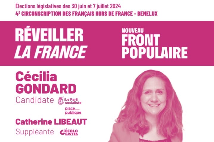 Le vote par Internet a démarré. Français du Benelux, mobilisez-vous!! Votez pour le Nouveau Front Populaire avec CECILIA GONDARD