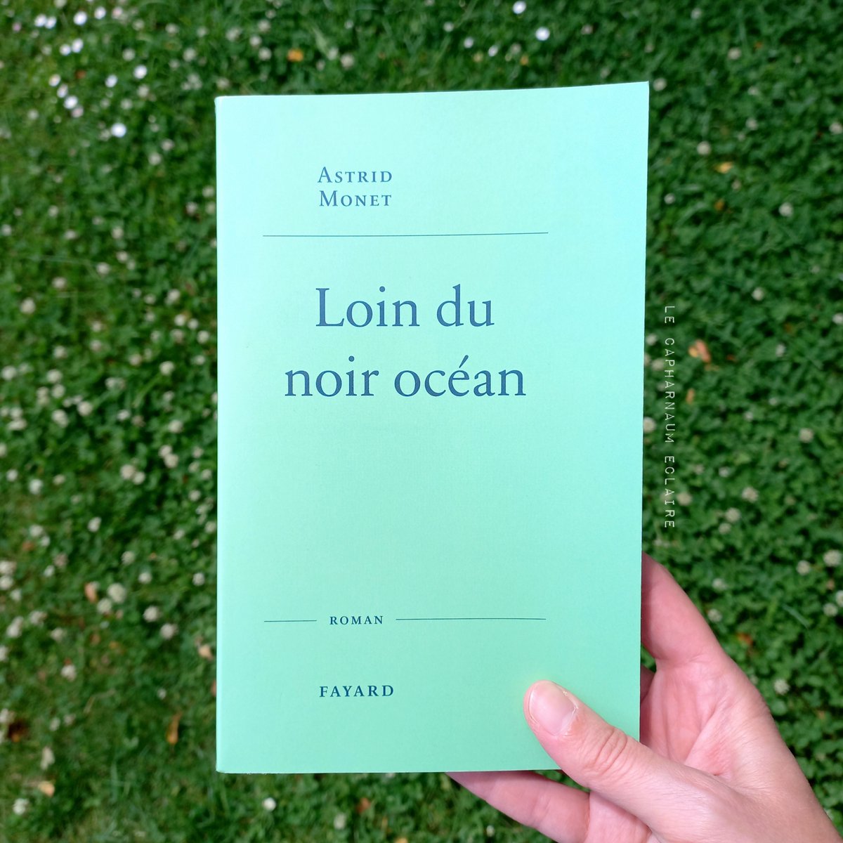 "Loin du noir océan" <a href="/MonetAstrid/">Astrid Monet</a>  <a href="/EditionsFayard/">Fayard</a> :
cafardsathome.canalblog.com/2024/06/loin-d…
Beau et cruel à la fois, on prend littéralement claque sur claque et on finit sur les genoux. 
Un roman pur et bouleversant. Une véritable expérience de lecture ! ❤
#mardiconseil
