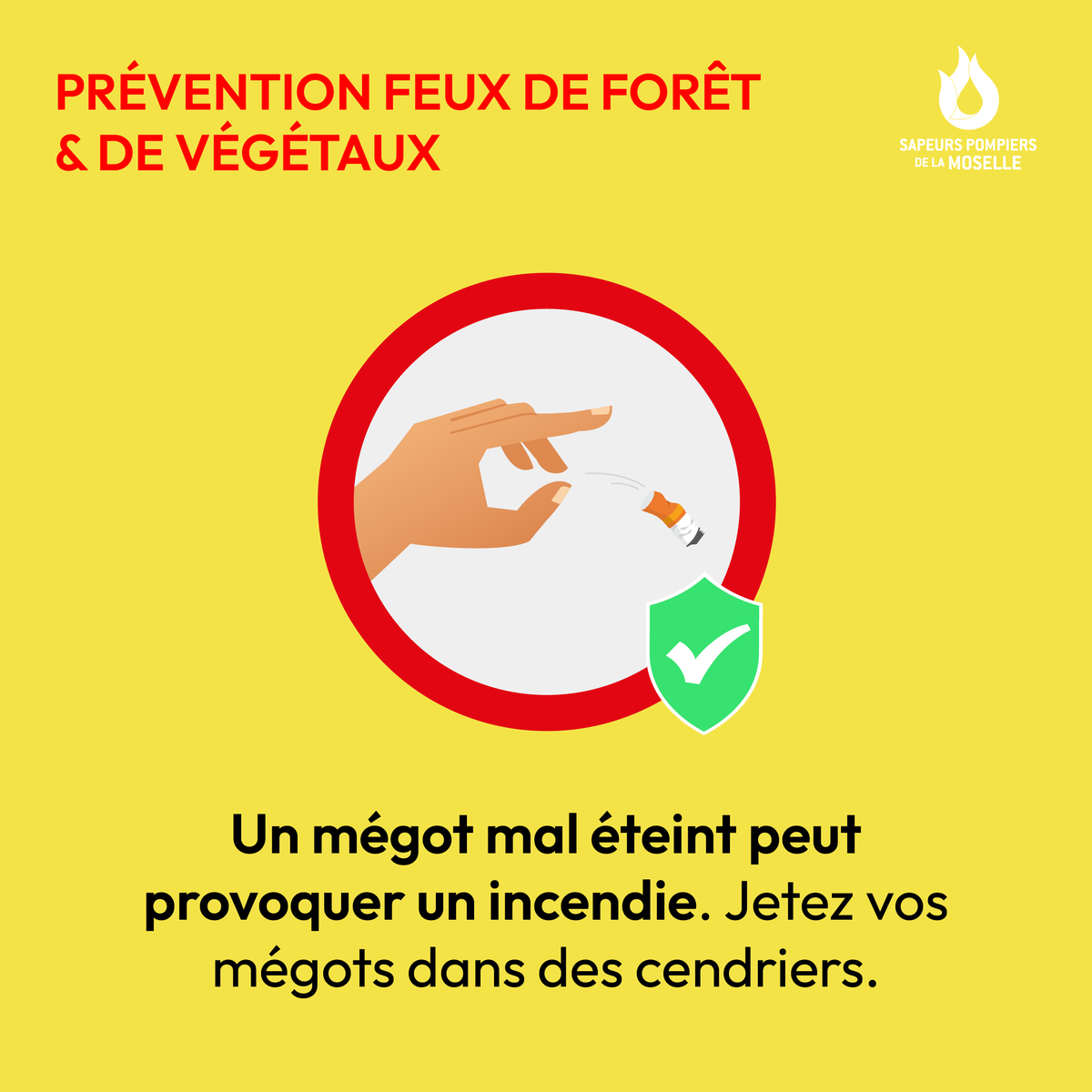 #FeuxDeForêt | 🚬 Vous êtes fumeur ? Le bon réflexe, c'est de jeter vos mégots dans un cendrier. En forêt, il est interdit de fumer. ⛔️Préservons notre environnement et protégeons nos vies. ✅