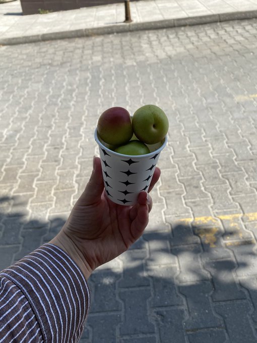 herkes molaya kahveyle &ccedil;ıkarken benim hayatı seviş https://t.co/8fOzONiA2G