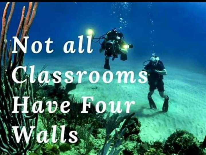 NarcosisScubaCe's tweet image. #learntodive @NarcosisScubaCe #takeaclass #booknow Narcosisscuba.com