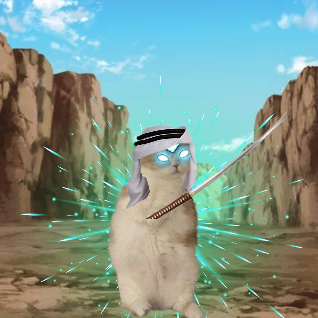 This man fought for $COPE

Hats off 🫡