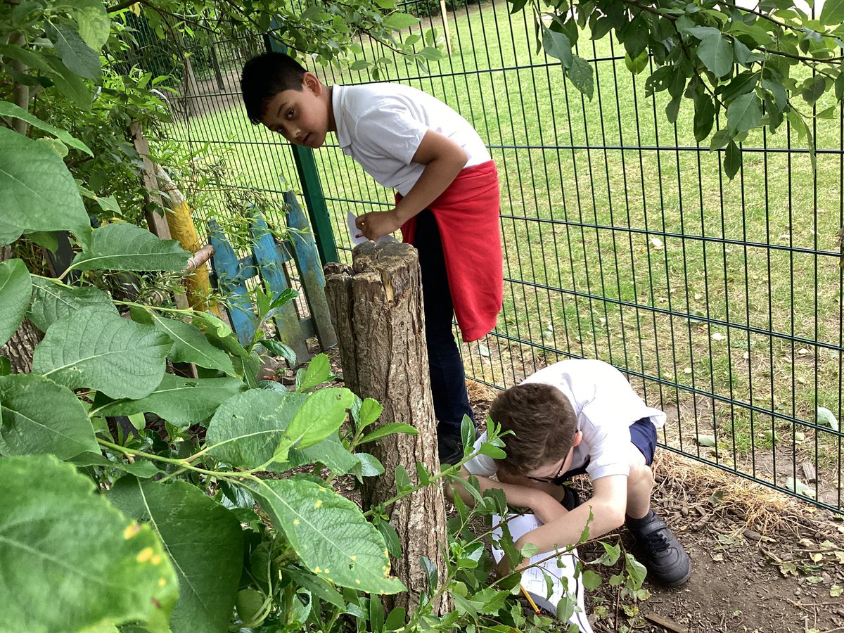 ArchibaldFirst's tweet photo. Year 4 have enjoyed a practical science session today. We used the school grounds to locate a range of invertebrates then checked them against our classification key.#AFSscience https://t.co/gH2Bimr5zx