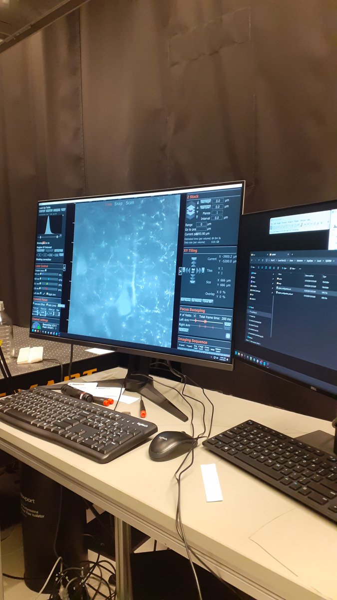 PhaseView tweet media