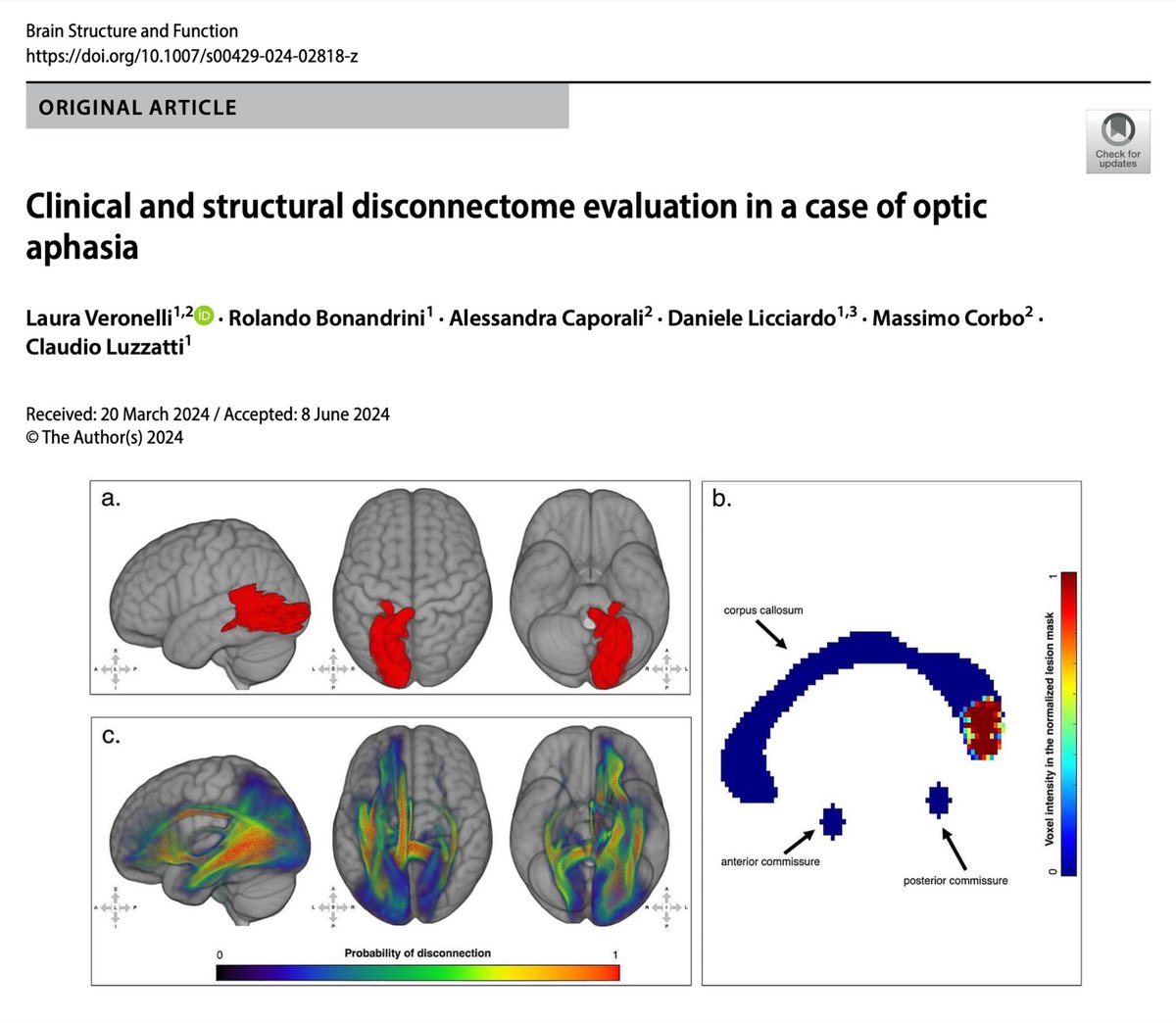 New paper out!  doi.org/10.1007/s00429…