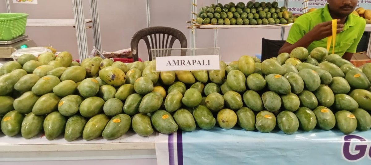 OdishaKrishikj's tweet image. ନୂଆଦିଲ୍ଲୀର ହ୍ୟାଣ୍ଡଲୁମ୍ ହାଟ, ଜନପଥଠାରେ ଆୟୋଜିତ ହେଲା ଆମ୍ବ ମେଳା ୨୦୨୪ l ବେଙ୍ଗଲର ବିଭିନ୍ନ ଭେରାଇଟି ଆମ୍ବ ଏଠାରେ ପ୍ରଦର୍ଶିତ କରାଯାଇଛି l 

 #HandloomHaat #Janpath #NewDelhi #mangoes #Bengal