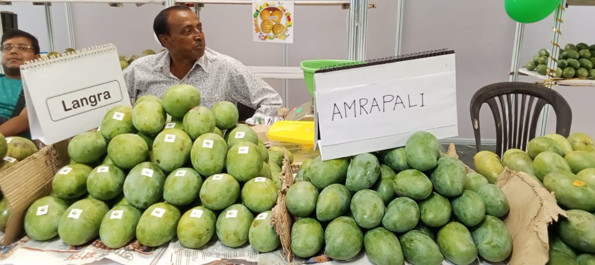 OdishaKrishikj's tweet image. ନୂଆଦିଲ୍ଲୀର ହ୍ୟାଣ୍ଡଲୁମ୍ ହାଟ, ଜନପଥଠାରେ ଆୟୋଜିତ ହେଲା ଆମ୍ବ ମେଳା ୨୦୨୪ l ବେଙ୍ଗଲର ବିଭିନ୍ନ ଭେରାଇଟି ଆମ୍ବ ଏଠାରେ ପ୍ରଦର୍ଶିତ କରାଯାଇଛି l 

 #HandloomHaat #Janpath #NewDelhi #mangoes #Bengal