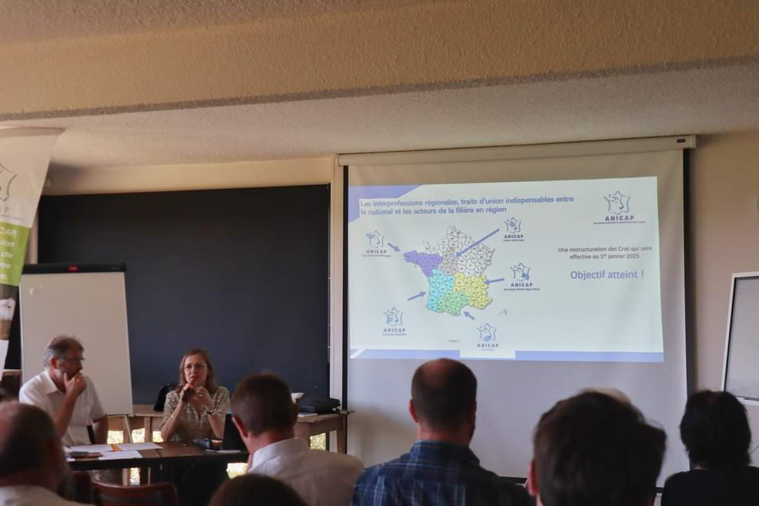 anicapfr's tweet photo. 📣 Lancement de notre #AG 2024 !
Une matinée riche en échanges avec pour commencer :
✅️ AG statutaire
✅️ Rapport d'activité 2023
✅️ Sructuration des #interprofessions régionales : rappel de l'importance de diffuser nos actions auprès de tous les producteurs. https://t.co/qxw2CORb23
