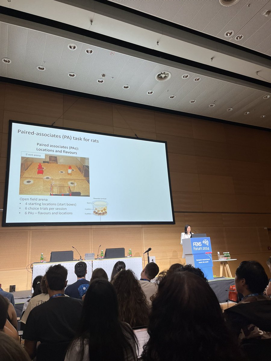 AElegansDesign's tweet image. Always nice to hear @TseDorothyLab, showing the paired associates task adapation to humans #schema #fens2024