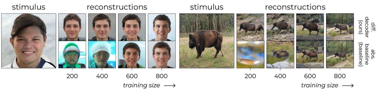 ThirzaDado's tweet image. [1/7] 🎉 Our paper &apos;Get more from less: Differential neural decoding for effective reconstruction of perceived naturalistic stimuli from noisy and scarce neural data&apos; has been accepted for a talk at #cogsci2024! w/ @umuguc #neuraldecoding
Paper: escholarship.org/uc/item/7vt4w0…