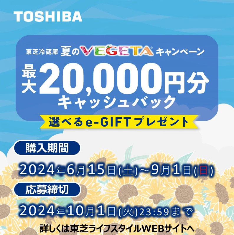 20,000円】TOSHIBA VEGETA