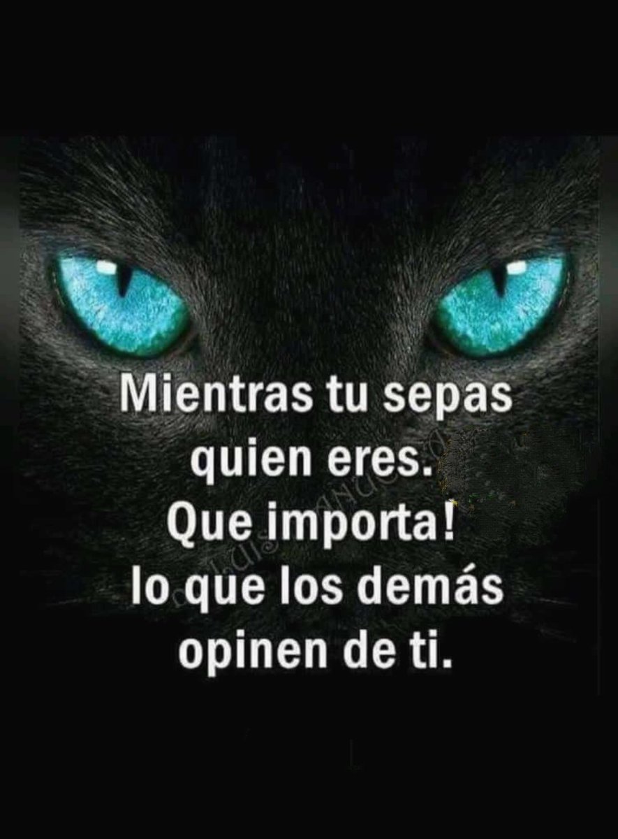#RafaelDiaz