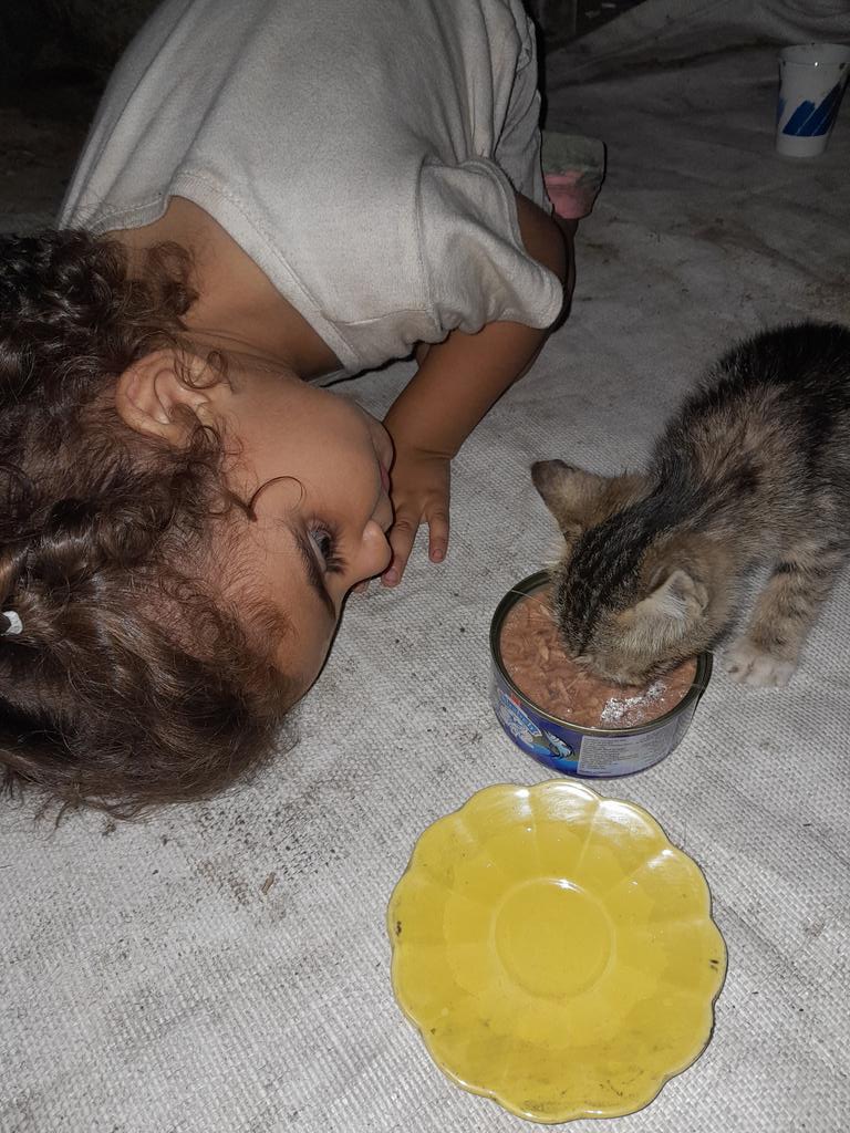 SARAMoh69489245's tweet photo. Good morning dear friends. Today Maria woke up with a big smile. I haven't seen her wake up this way in a very long time and had to fight back tears. I long for days when this is normal again. Children should always wake up smiling! Please help me get her to safety. I want nothing more in life than for her to be safe and live in a peaceful country

https://t.co/bQC0qiceWP 
https://t.co/gO8dJBveTf