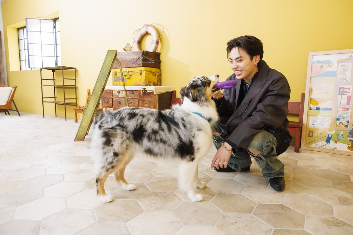 📣お知らせ📣 6/27発売「Pet Pop SQUARE vol.9」に #古嶋滝 の